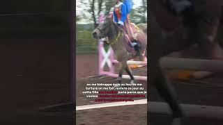 joy poney concoursclub Havanambbdmr [upl. by Sharline]