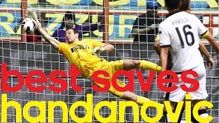 Samir Handanovic  Best Saves 2014  FC Inter [upl. by Slyke]