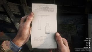 Red Dead Redemption 2Incendiary Buckshot Pamphlet location [upl. by Stratton671]