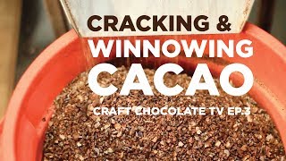 Cracking amp Winnowing Cacao  Episode 3  Craft Chocolate TV [upl. by Ise903]