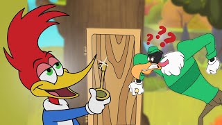 Woody Woodpecker Complete Season 1 Compilation  Cartoons For Kids  WildBrain Max [upl. by Neirad495]