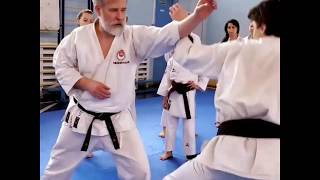 Shotokan Karate with Shihan Dormenko Andrey 8 Dan ISKF [upl. by Ayetal]