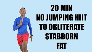 20Minute No Jumping HIIT To Obliterate Stubborn Fat [upl. by Latnahc468]