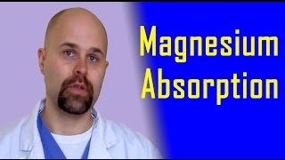 Magnesium Absorption [upl. by Sedicla601]