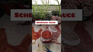 Schezwan Sauce 🥵 Homemade Schezwan sauce tamil vlog sauce [upl. by Eipper]