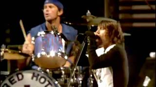 Red Hot Chili Peppers  Parallel Universe  Live at Slane Castle [upl. by Ayotak]