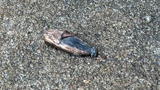 I Found a Bullet at the Scene of the Birmingham Shooting from Yesterday  Saturday Sept 21 2024 [upl. by Yrrac]