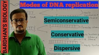 Modes of DNA replication Semiconservative Conservative amp Dispersive in HINDI [upl. by Moersch620]