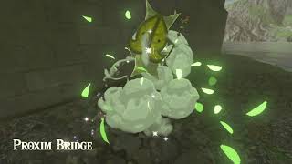 Korok seeds  Proxim Bridge  Dueling Peak Tower 2122  Zelda BOTW [upl. by Rother49]