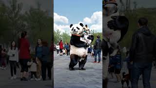 Un Día en la Vida de un Oso Panda  Escenas Cotidianas Realistas  Video Creado con IA [upl. by Rramel423]