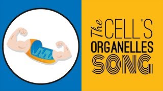 The Cells Organelles SONG  Memorize the Parts of the Cell [upl. by Ecyrb429]