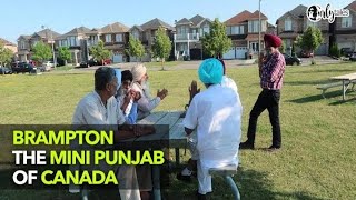 Always Trippin Episode 4  Brampton  The Mini Punjab Of Canada  Curly Tales [upl. by Asit]