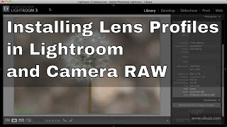 Installing Adobe Lens Profiles for Lightroom and Camera RAW [upl. by Jacoba338]