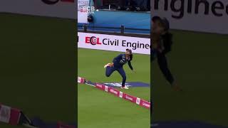 😱 Has there been a better boundary catch Outrageous from Harleen Deol shorts cricketcatches [upl. by Desai]