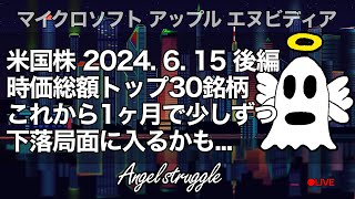 【Vlog279】2024615 米国株最新チャート分析 時価総額トップ30銘柄 [upl. by Gobert]