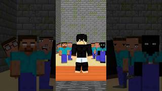 HELP Herobrine To Pass Thru friendship shorts trending anime [upl. by Rollet]