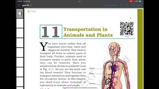 Transportation in plants and animals class 7 circulatory system heart blood xylem  phloem [upl. by Ethelstan]