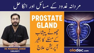 Prostate Ka Ilaj Kaise Hota Hai  Old Age Prostate Problems  Prostate Gland  Peshab Ruk Ruk Ke Ana [upl. by Niccolo]