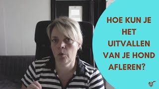 Hoe kun je het uitvallen van je hond afleren [upl. by Anairdna248]