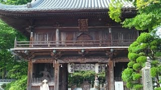 Ryozenji Temple First Temple in the Shikoku 88 Temple Pilgrimage [upl. by Woodsum463]