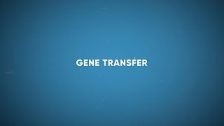 CF Foundation  Gene Transfer [upl. by Vaasta]