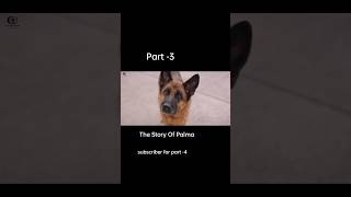 The Story Of Palma movie explain in nepali part 3 shorts sad viral imotional sadstory [upl. by Atinhoj597]