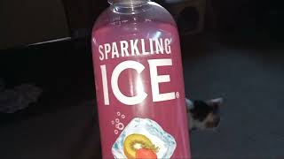 trying sparkling ice [upl. by Euqenimod803]