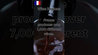 French Wine travel bucketlisttravelers wine france [upl. by Mccord725]