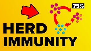 Coronavirus Herd Immunity  Explained [upl. by Arinay]