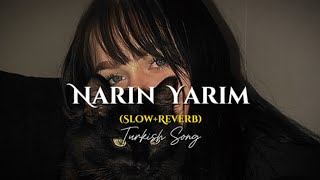 Narin Yarim  Turkish song slowreverb song  love song  song turkishsong lofi slowed [upl. by Manolo]