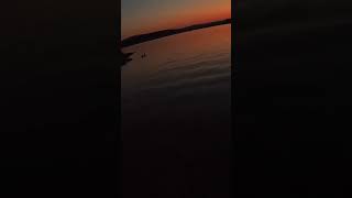 Missed it dammit fishing bassfishing fish laketravis [upl. by Minica]