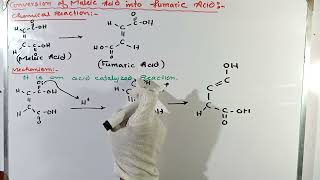 Conversion of maleic acid into fumaric acid  Lab experiment  MSc chemistry [upl. by Laing]