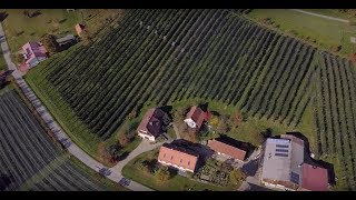 FLORA Blühendes Österreich und BirdLife Österreich fördern Insektenschutz [upl. by Arline]