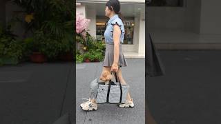 👜2024 Pet easy carry Bag shopify shorts pets cat dropshipping dropshippingagent ecommerce [upl. by Debbee]