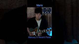 Meris MercuryX reverbpedal [upl. by Johannah]