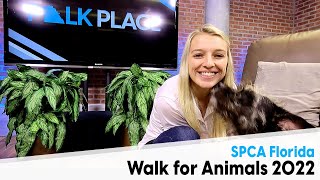 SPCA Florida Walk for Animals 2022 Polk Place [upl. by Kippar280]