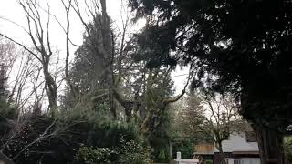 House for sale Vancouver Kitsilano [upl. by Lynda]