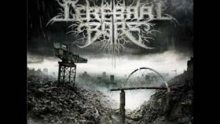 Cerebral Bore  Maniacal Miscreation OFFICIAL w Lyrics [upl. by Nrubyar]