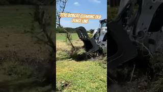 Bobcat T770 clearing fence line shortsvideo bobcat farm [upl. by Bellina860]