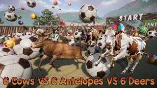 6 Cows VS 6 Antelopes VS 6 Deers Animals Race in Planet Zoo included Cow Red Deer amp Pronghorn [upl. by Nylasor]