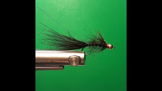 Bead Head Hale Bopp Leech [upl. by Lubet]