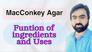 Lec7  MacConkey Agar  Composition  Function of ingredients  Properties  Uses  UrduHindi [upl. by Nalyorf415]