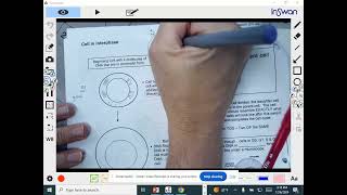 Honors Bio Unit 5 Lecture 2 Cell Cycle amp Mitosis [upl. by Aehsat]