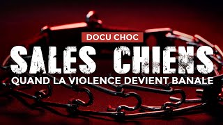 DOCU CHOC 😱 SALES CHIENS  Quand la violence devient banale [upl. by Eirallih]