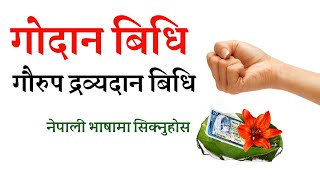 गोदान  गौ दान विधि  Godan vidi in Nepali  Karmakanda [upl. by Ahsekad]