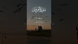 quranvideo islamicinfo islamicvideo [upl. by Donough]