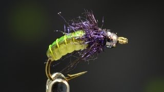 Tying a Caddis Pupa multitoned with Curtis Fry [upl. by Raynah]