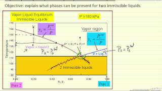 VLLE for Immiscible Liquids [upl. by Ttej631]