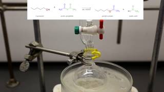 How to make Banana Mushroom Orange and Pear Flavoring Acetate Esters [upl. by Doti]