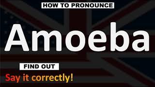 How to Pronounce Amoeba  English Pronunciation Guide [upl. by Aguste630]